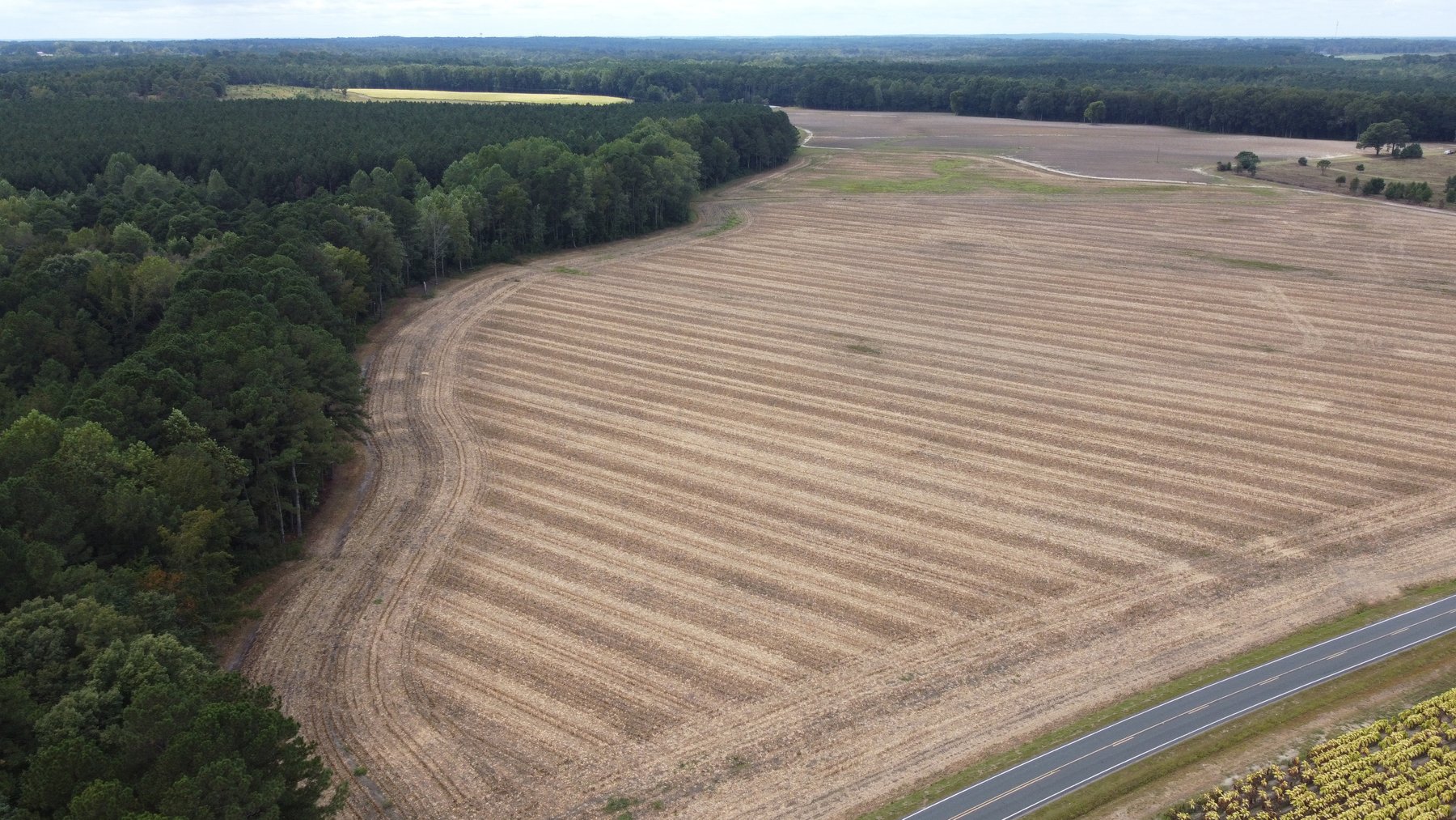 Image for Approx. 300 Acres Divided into 4 tracts and a Home in Harnett County!