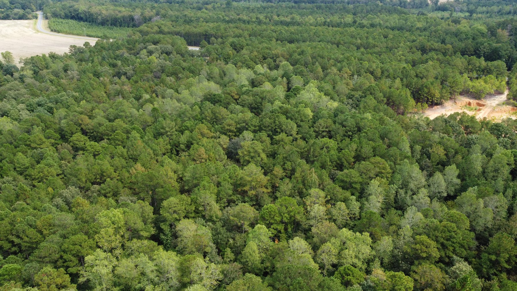 Image for Approx. 300 Acres Divided into 4 tracts and a Home in Harnett County!