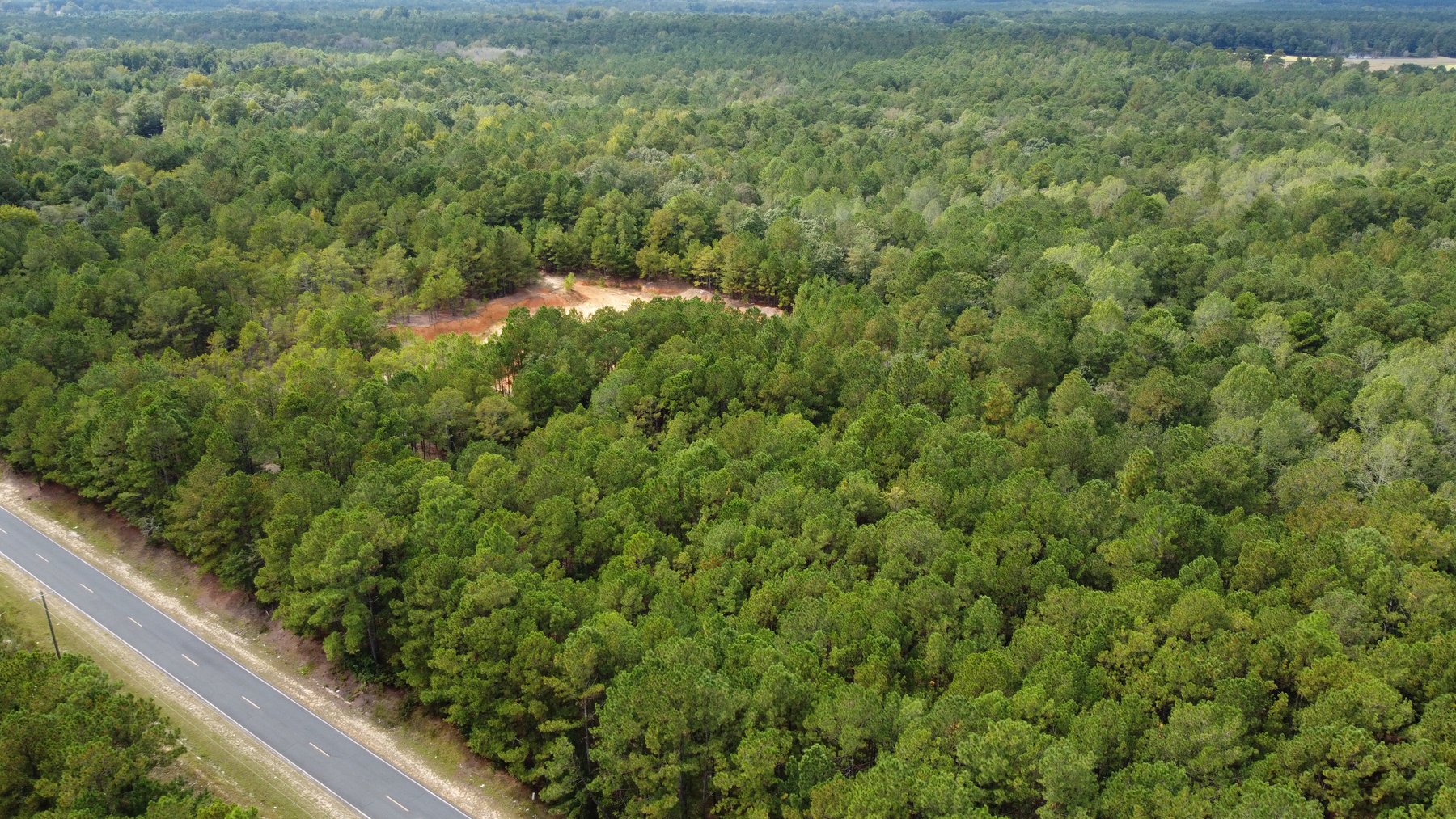 Image for Approx. 300 Acres Divided into 4 tracts and a Home in Harnett County!