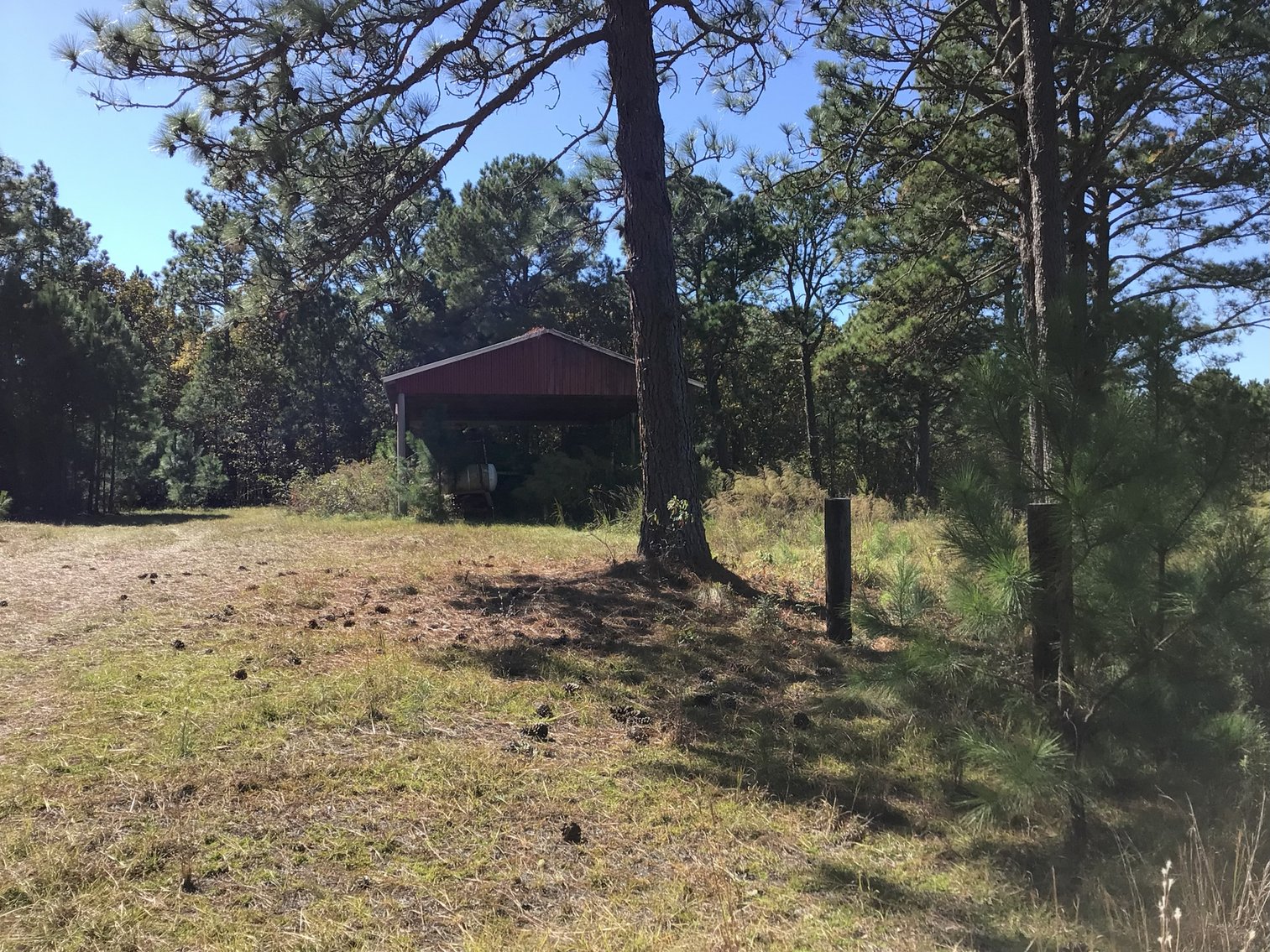 Image for Approx. 300 Acres Divided into 4 tracts and a Home in Harnett County!