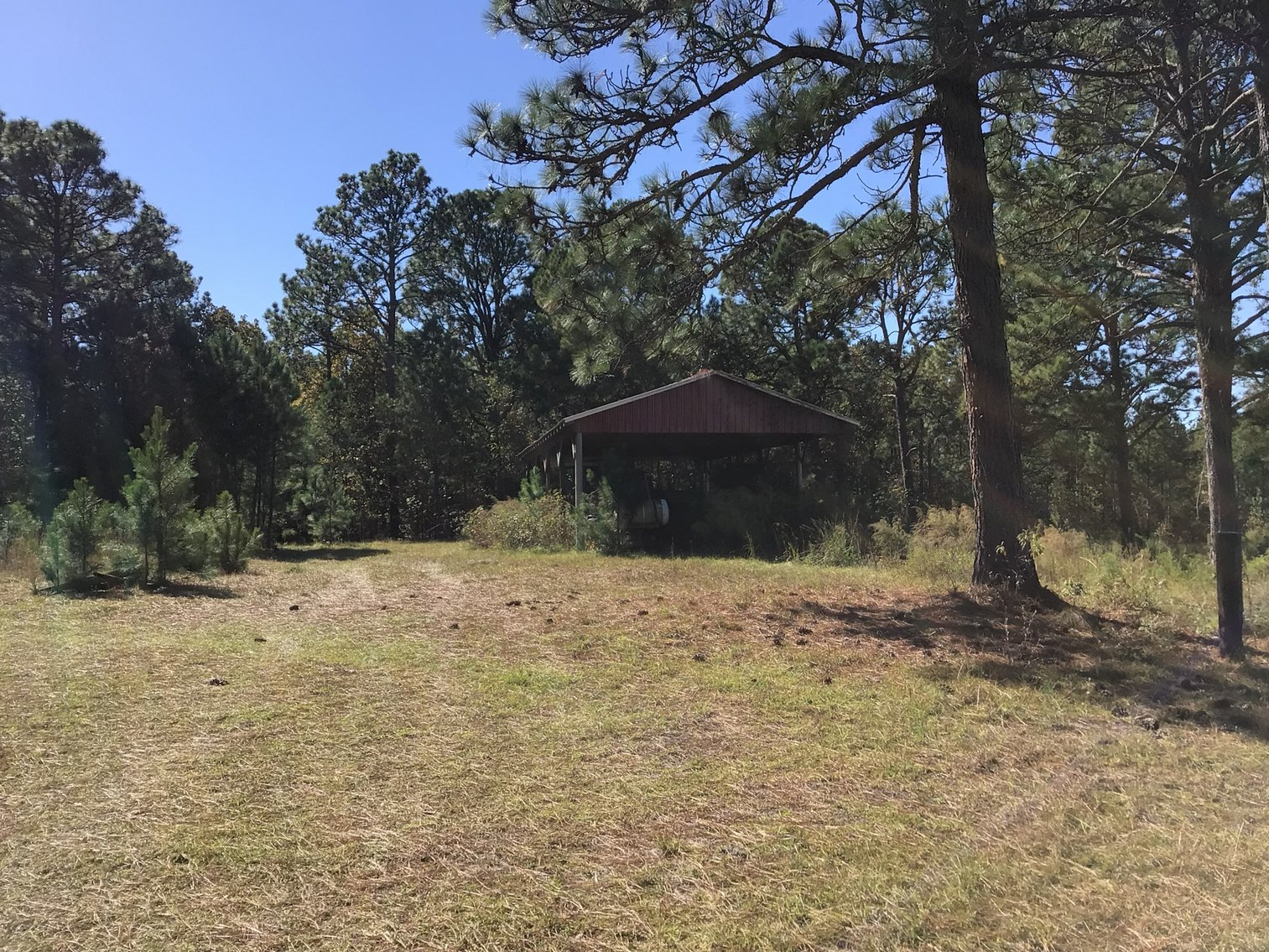 Image for Approx. 300 Acres Divided into 4 tracts and a Home in Harnett County!