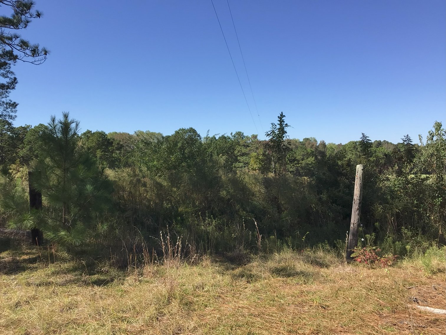 Image for Approx. 300 Acres Divided into 4 tracts and a Home in Harnett County!