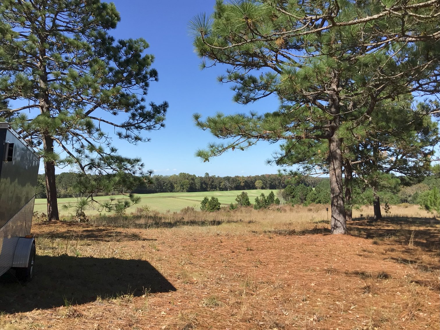 Image for Approx. 300 Acres Divided into 4 tracts and a Home in Harnett County!