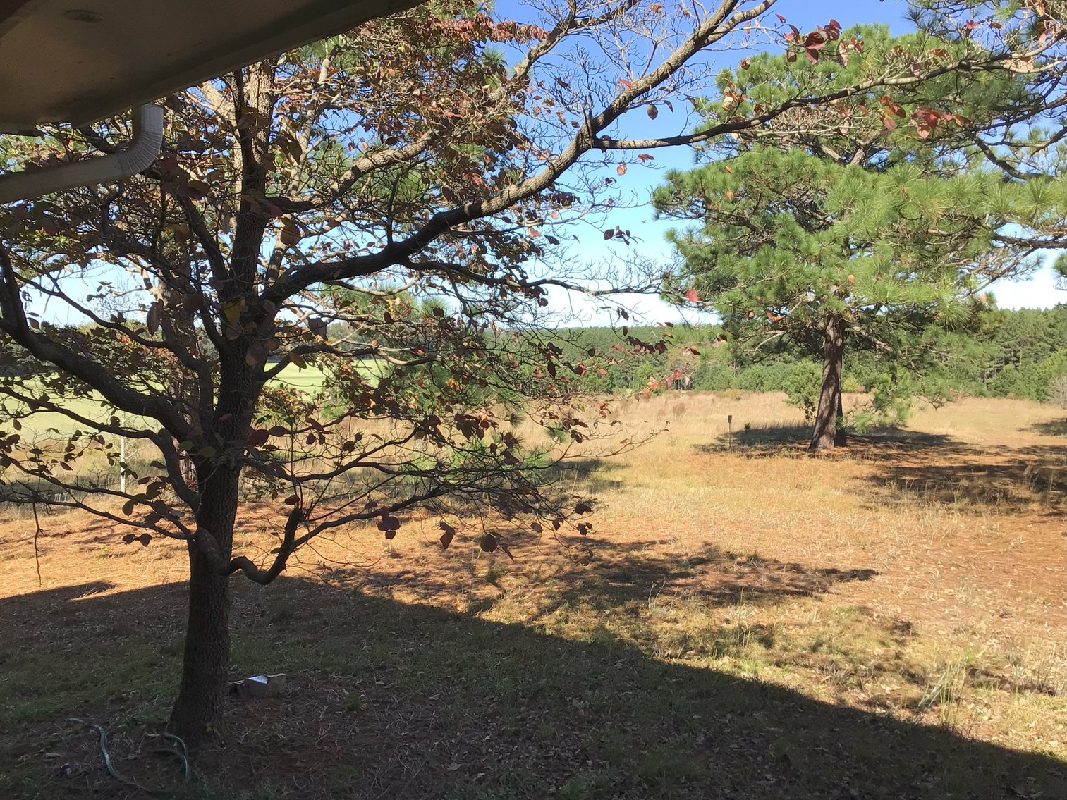 Image for Approx. 300 Acres Divided into 4 tracts and a Home in Harnett County!