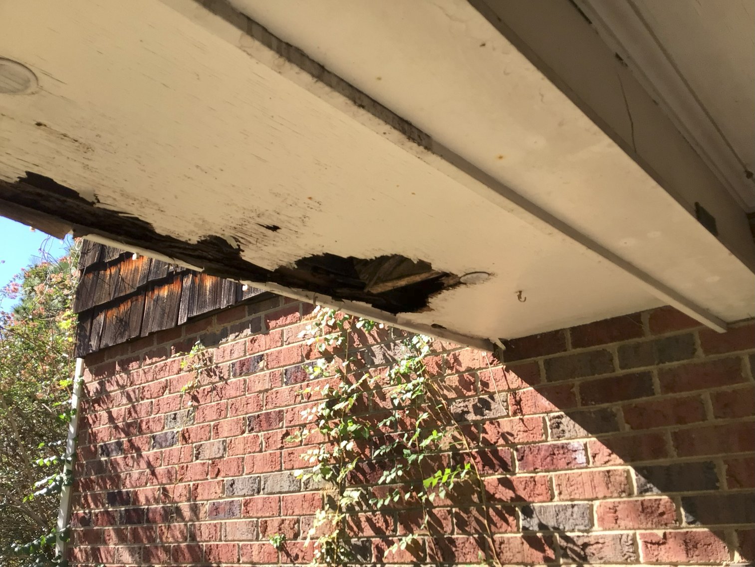 Image for Approx. 300 Acres Divided into 4 tracts and a Home in Harnett County!