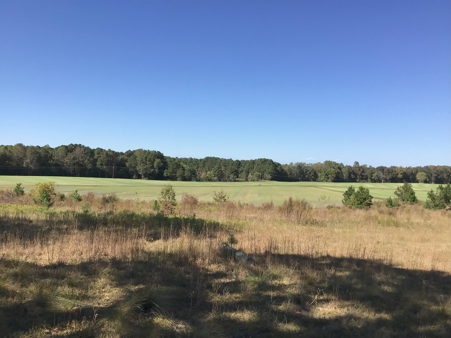 Image for Approx. 300 Acres Divided into 4 tracts and a Home in Harnett County!