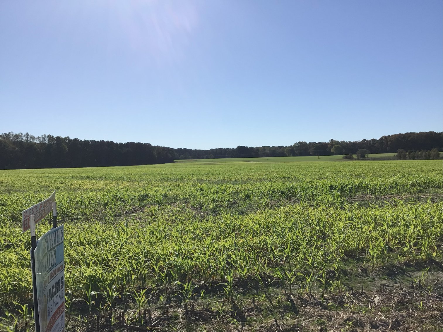 Image for Approx. 300 Acres Divided into 4 tracts and a Home in Harnett County!