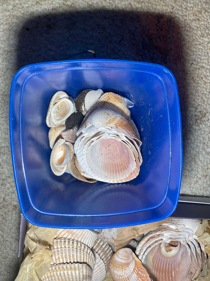 Image for Princeton Online Only Personal Property Auction!