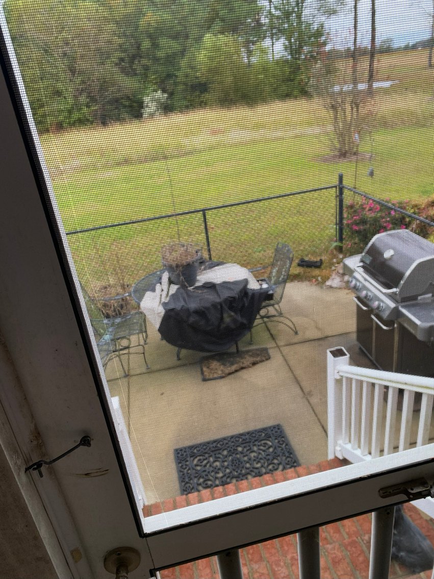 Image for Gorgeous Brick Home located at 590 Hobson Road, Dunn, NC!