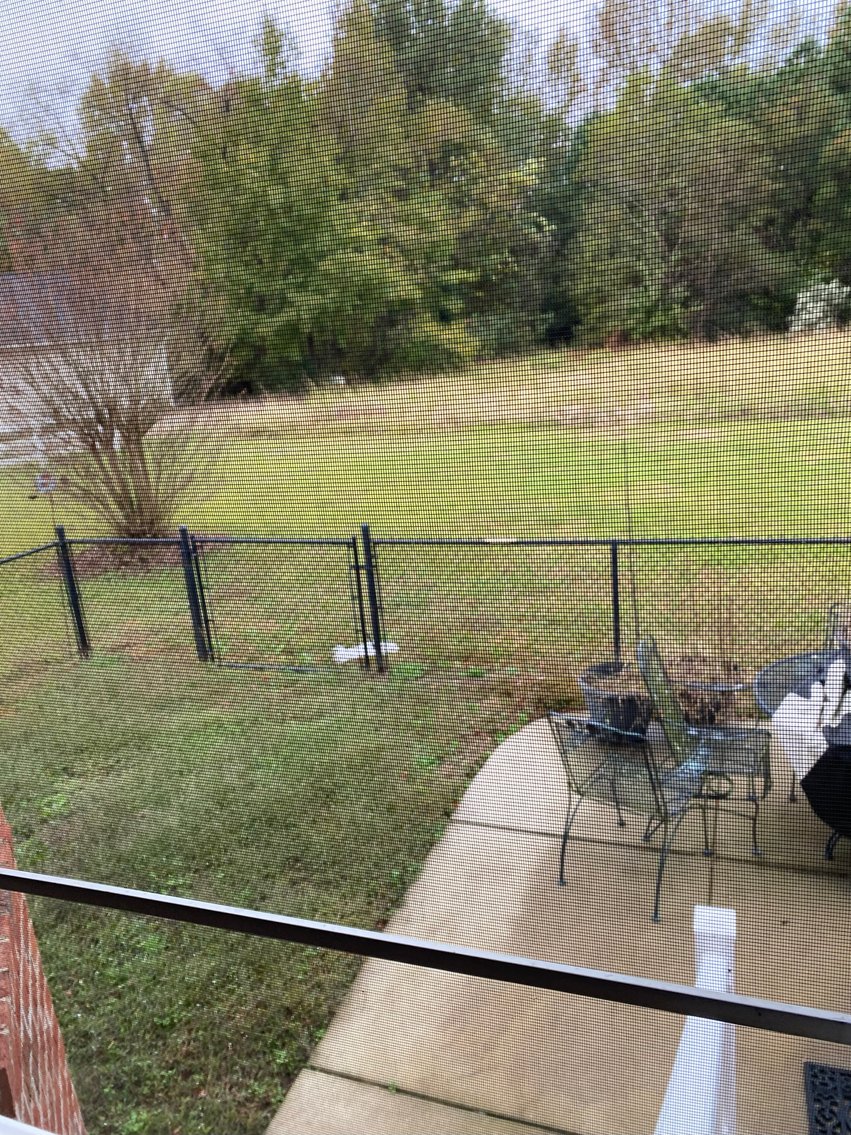 Image for Gorgeous Brick Home located at 590 Hobson Road, Dunn, NC!