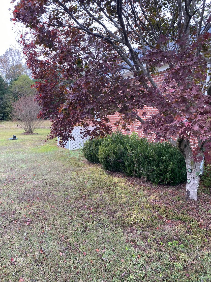 Image for Gorgeous Brick Home located at 590 Hobson Road, Dunn, NC!