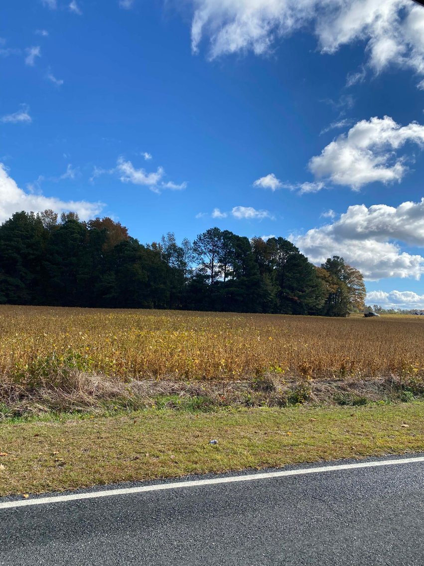 Image for Beautiful Tracts of Land between Coats and Dunn to be Divided!