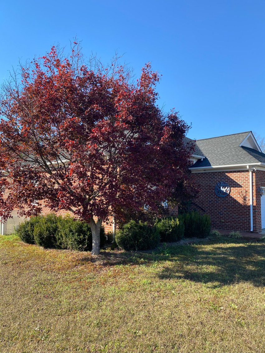 Image for Gorgeous Brick Home located at 590 Hobson Road, Dunn, NC!