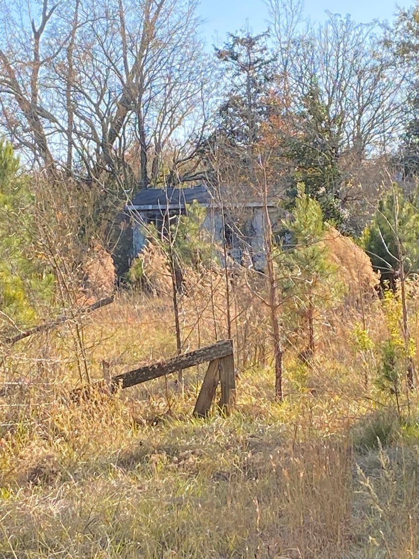 Image for Over 7 acres with a Manufactured Home Selling at Public Auction in Harnett County on 1530 Clark Road, Lillington, NC.