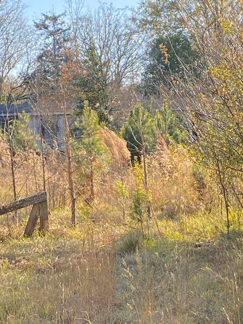 Image for Over 7 acres with a Manufactured Home Selling at Public Auction in Harnett County on 1530 Clark Road, Lillington, NC.