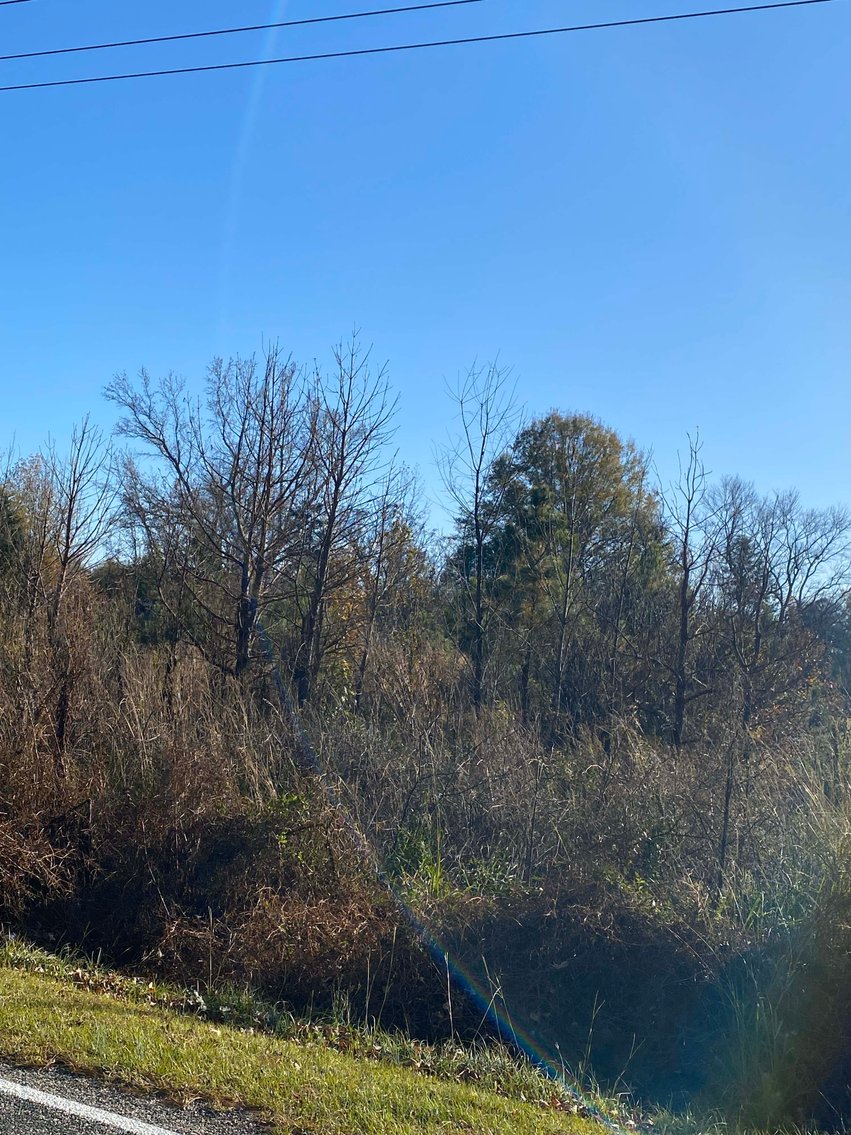 Image for Over 7 acres with a Manufactured Home Selling at Public Auction in Harnett County on 1530 Clark Road, Lillington, NC.