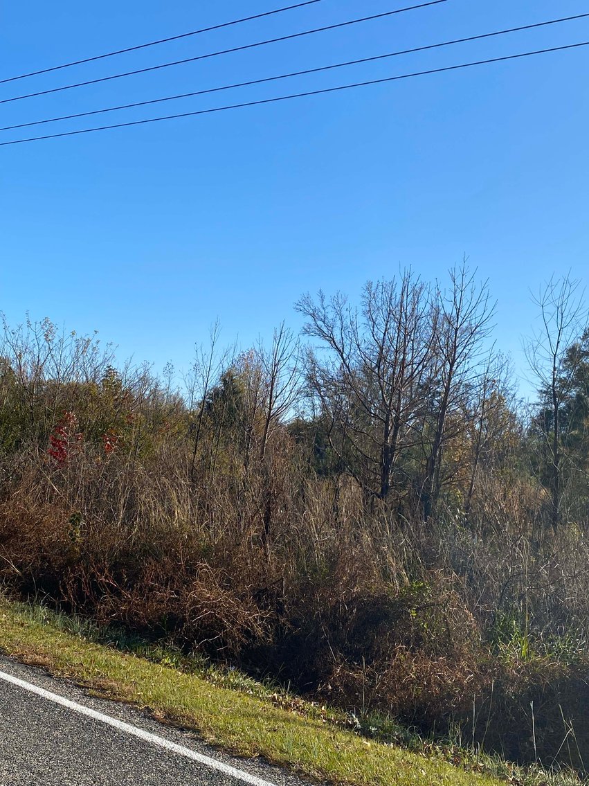 Image for Over 7 acres with a Manufactured Home Selling at Public Auction in Harnett County on 1530 Clark Road, Lillington, NC.