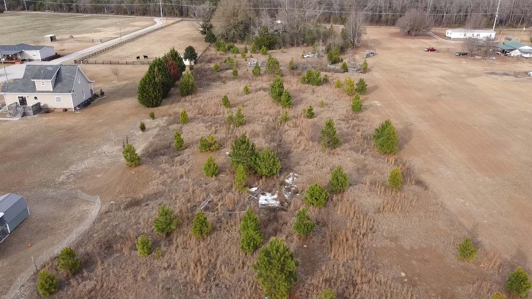 Image for Over 7 acres with a Manufactured Home Selling at Public Auction in Harnett County on 1530 Clark Road, Lillington, NC.