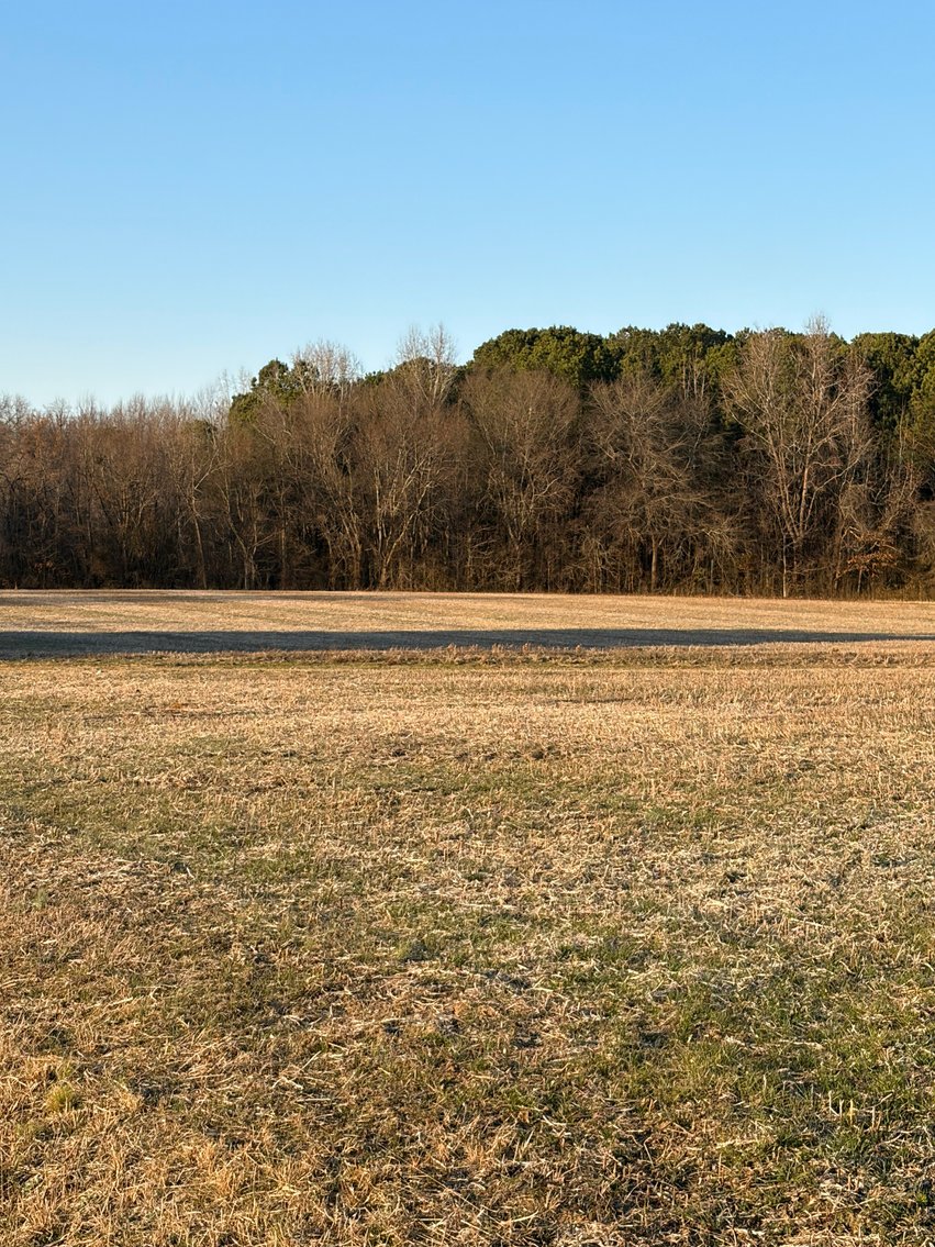 Image for Beautiful Tracts of Land between Coats and Dunn to be Divided!