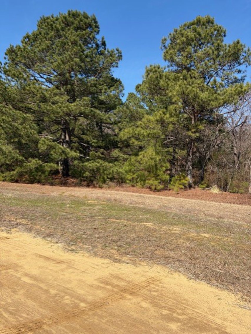 Image for Beautiful Tracts of Land between Coats and Dunn to be Divided!