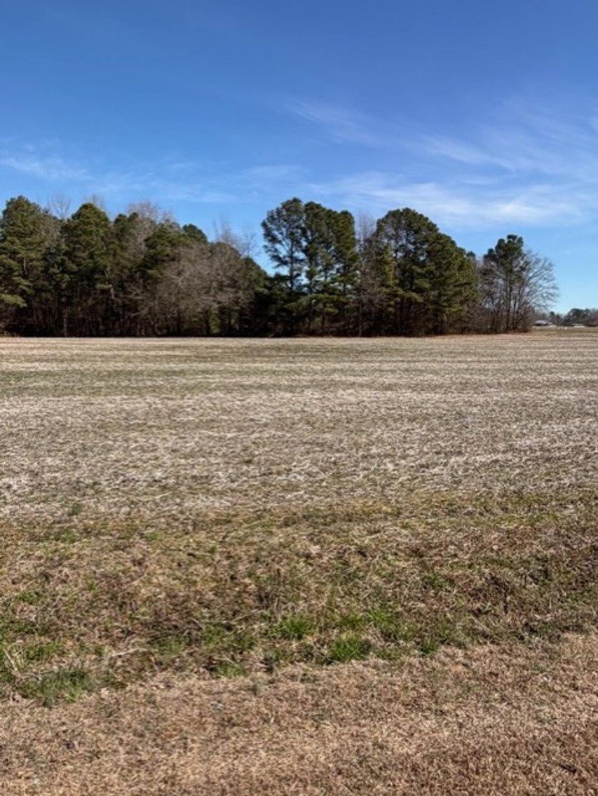 Image for Beautiful Tracts of Land between Coats and Dunn to be Divided!