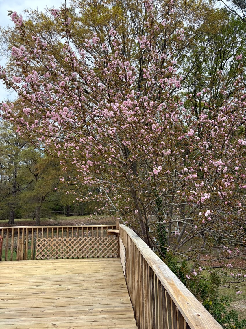 Image for Home on 4.25 acres in Angier!