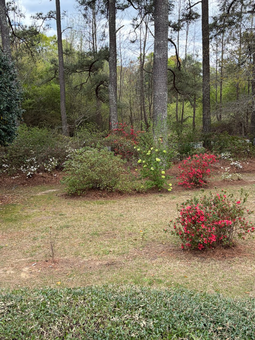 Image for Home on 4.25 acres in Angier!
