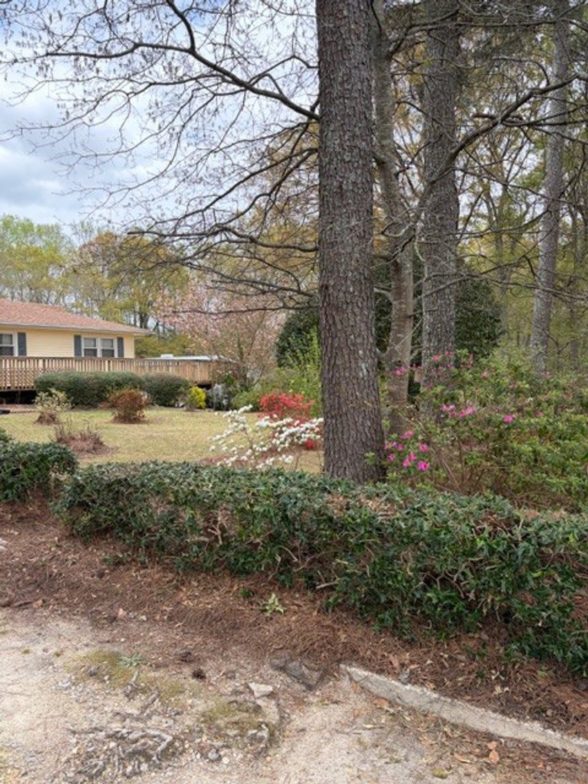 Image for Home on 4.25 acres in Angier!