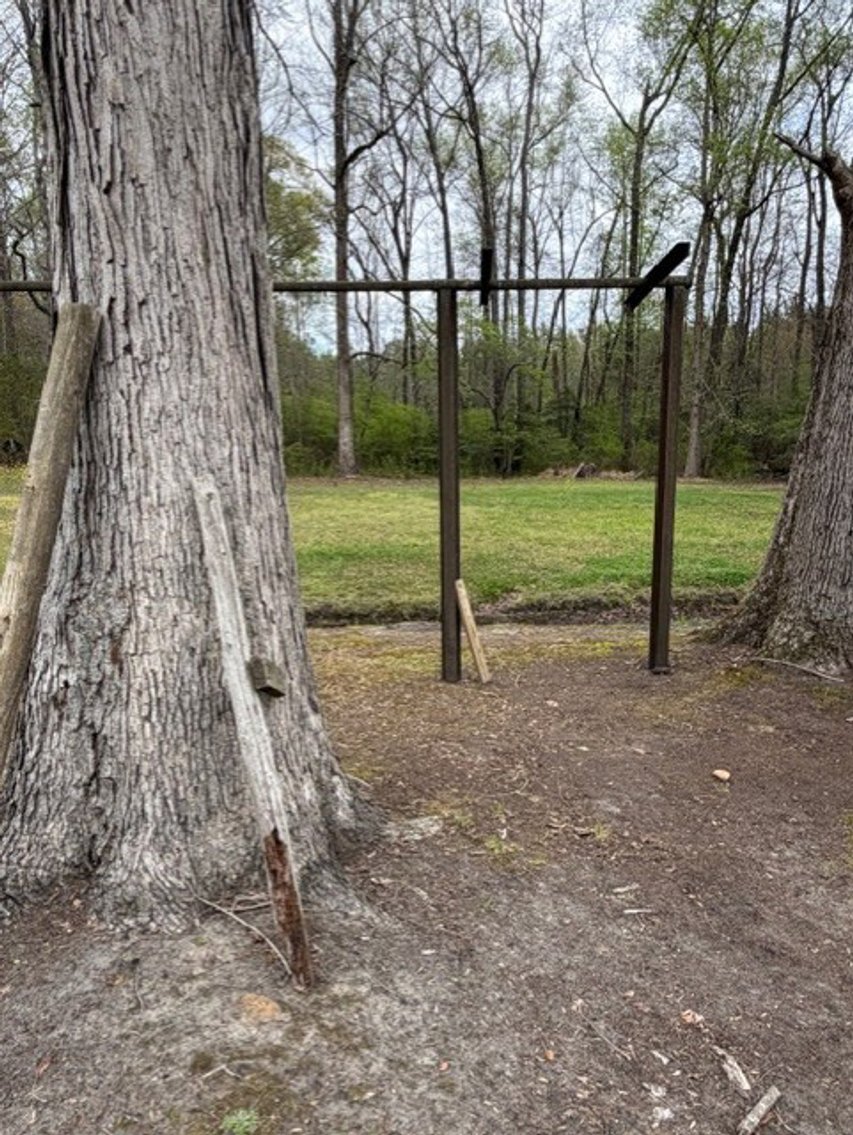 Image for Home on 4.25 acres in Angier!