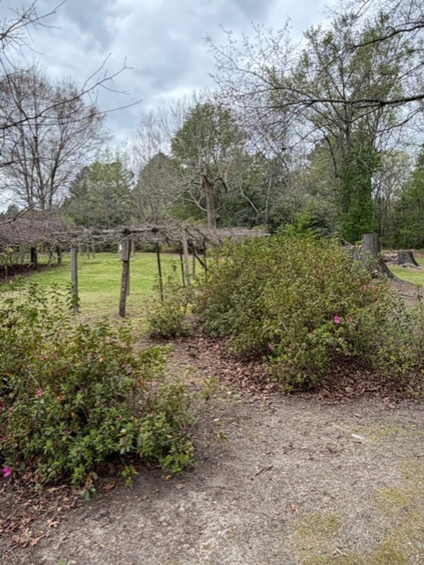 Image for Home on 4.25 acres in Angier!