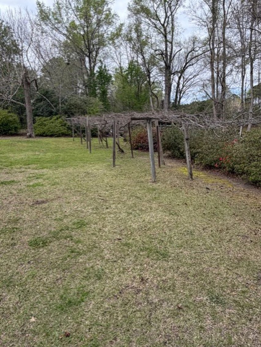 Image for Home on 4.25 acres in Angier!