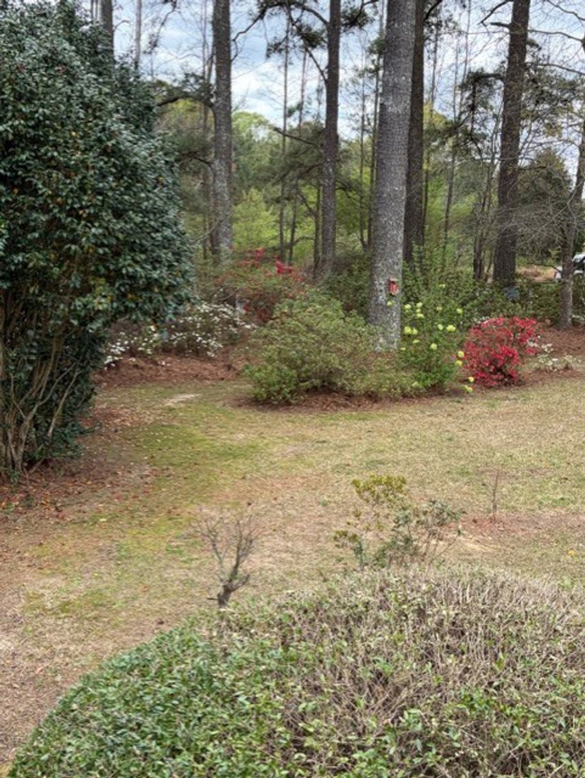 Image for Home on 4.25 acres in Angier!