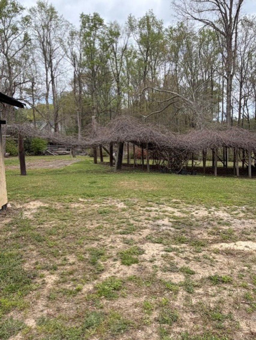 Image for Home on 4.25 acres in Angier!