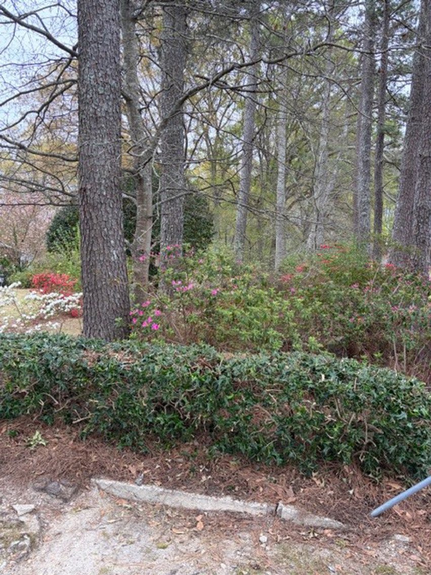 Image for Home on 4.25 acres in Angier!