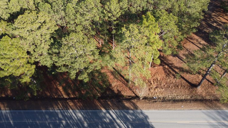 Image for 44.64 acres in Harnett County divided into 8 tracts!