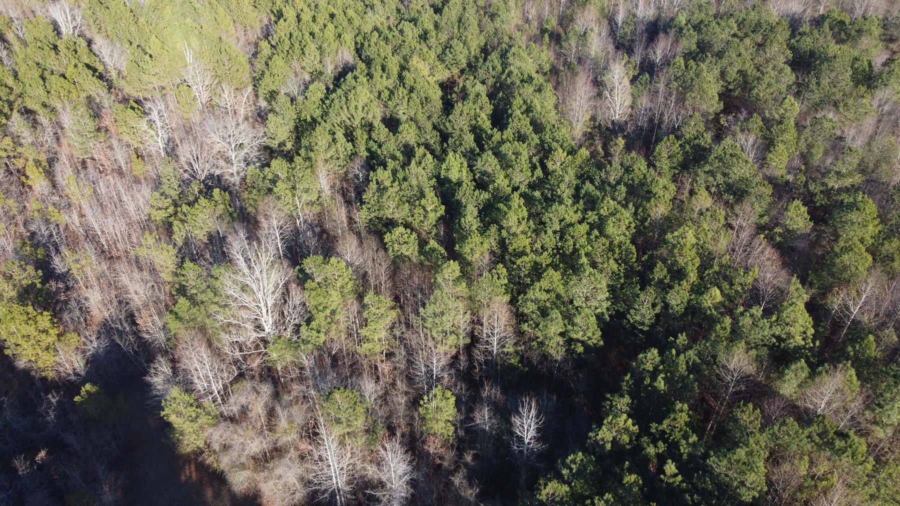 Image for 44.64 acres in Harnett County divided into 8 tracts!