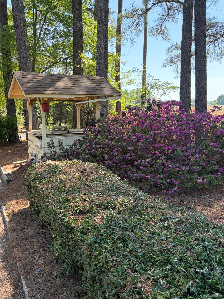 Image for Home on 4.25 acres in Angier!