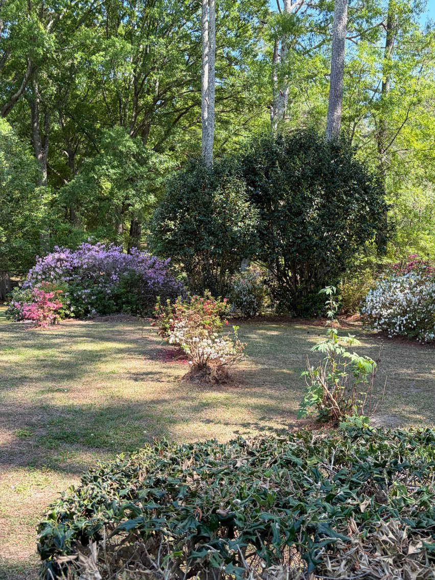Image for Home on 4.25 acres in Angier!