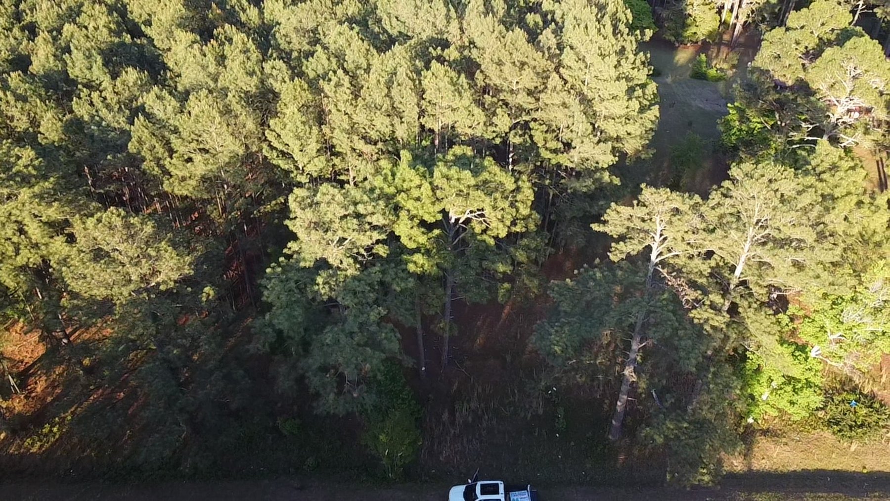 Image for 44.64 acres in Harnett County divided into 8 tracts!