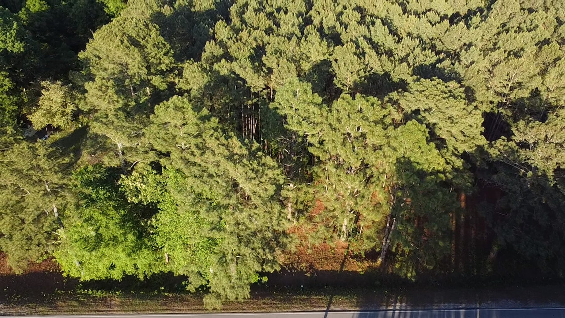Image for 44.64 acres in Harnett County divided into 8 tracts!