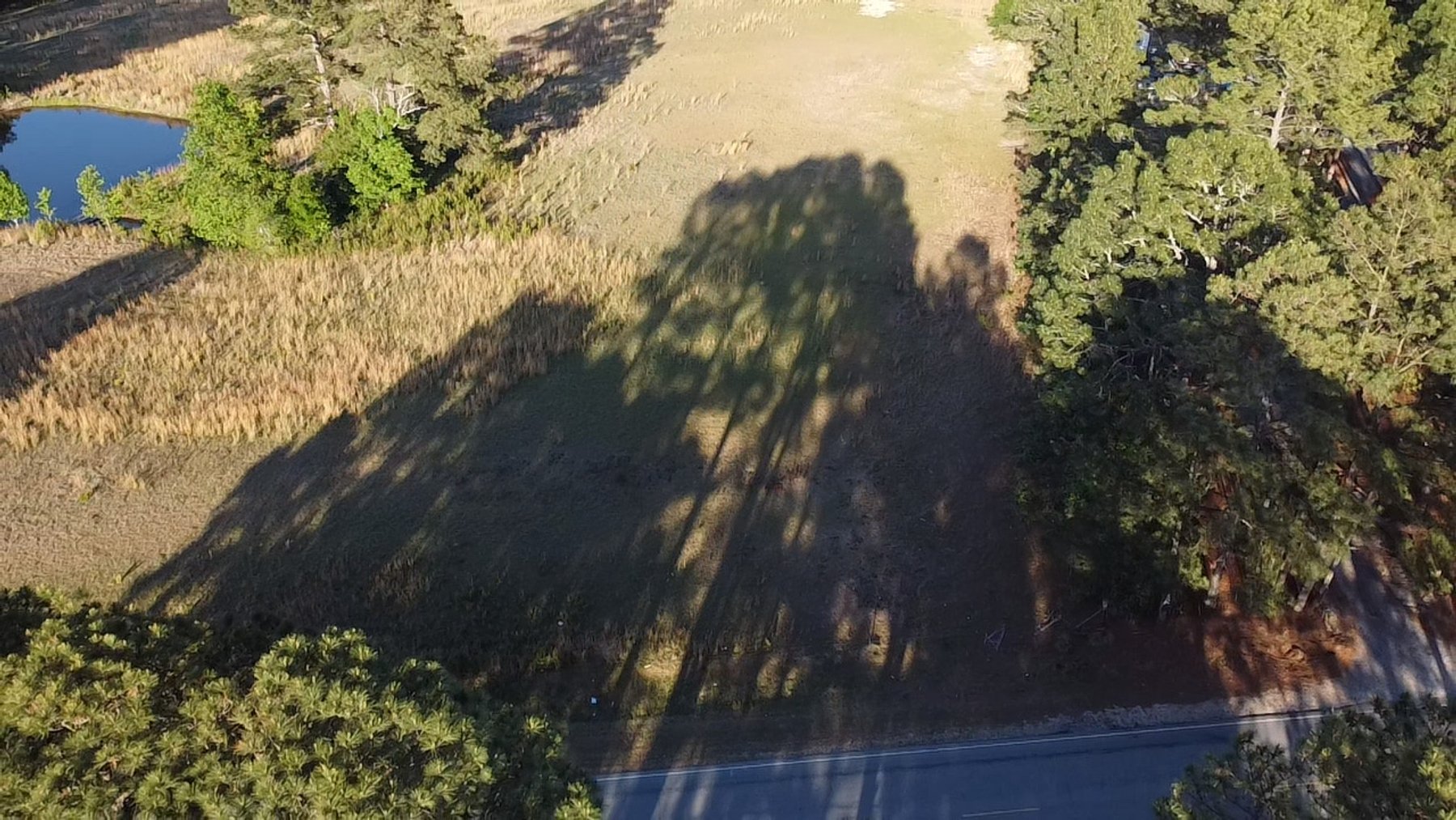 Image for 44.64 acres in Harnett County divided into 8 tracts!