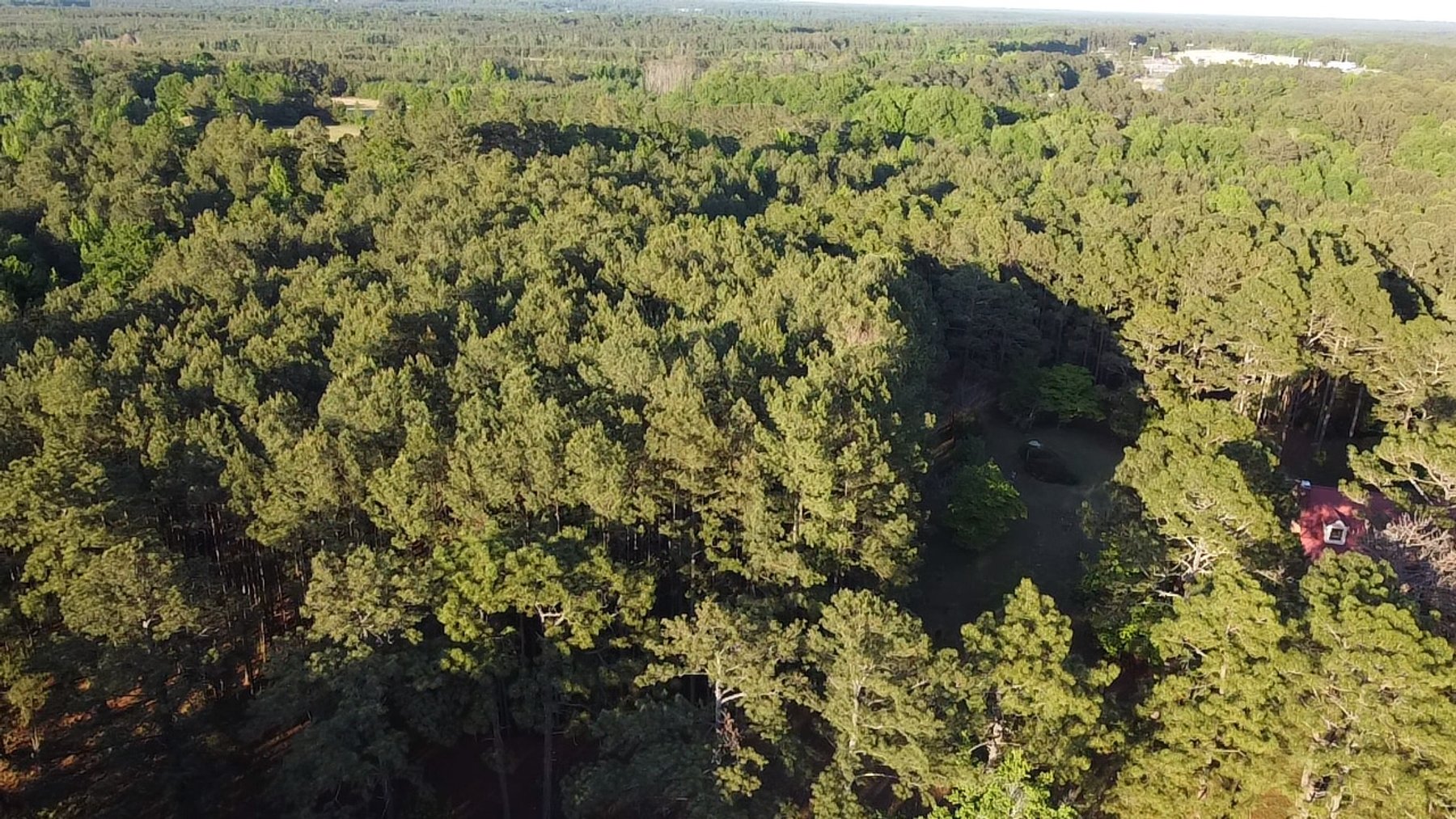 Image for 44.64 acres in Harnett County divided into 8 tracts!