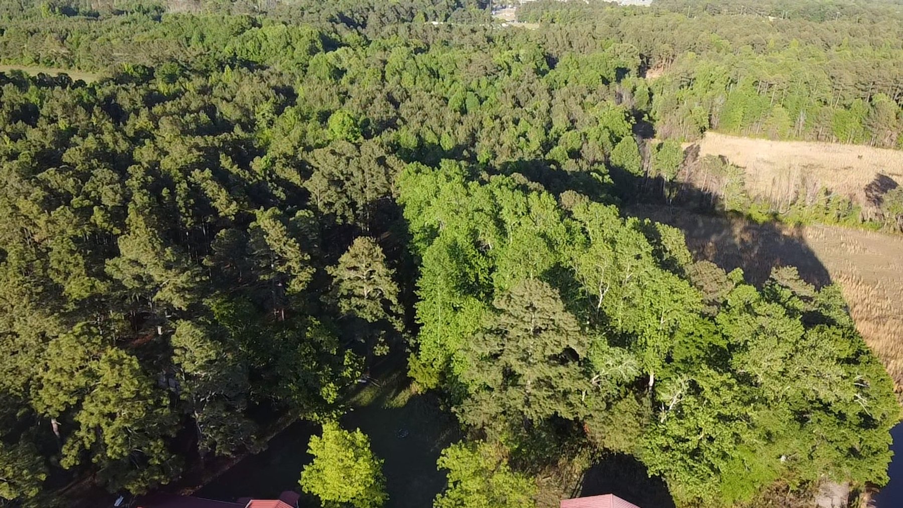 Image for 44.64 acres in Harnett County divided into 8 tracts!