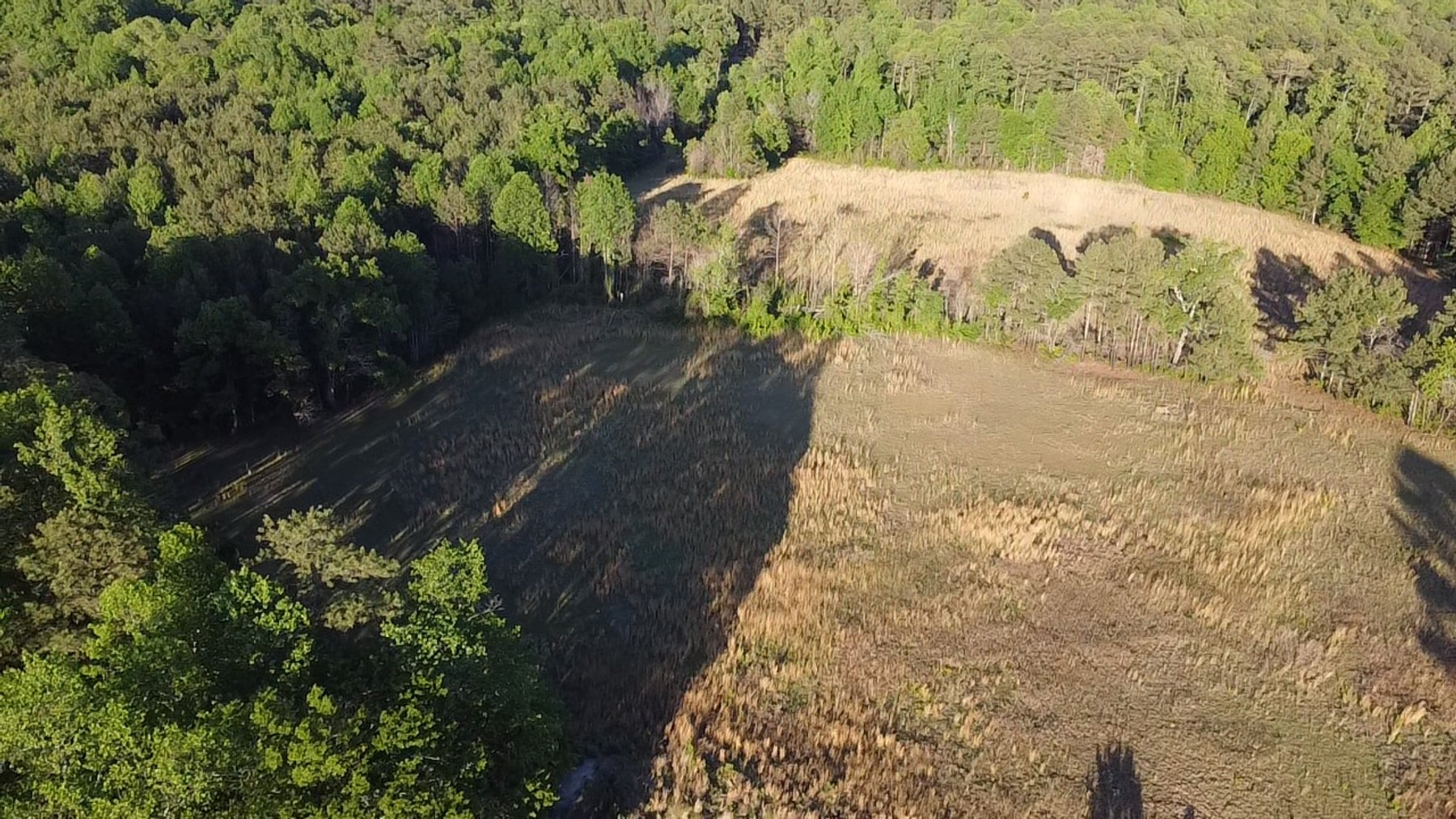 Image for 44.64 acres in Harnett County divided into 8 tracts!