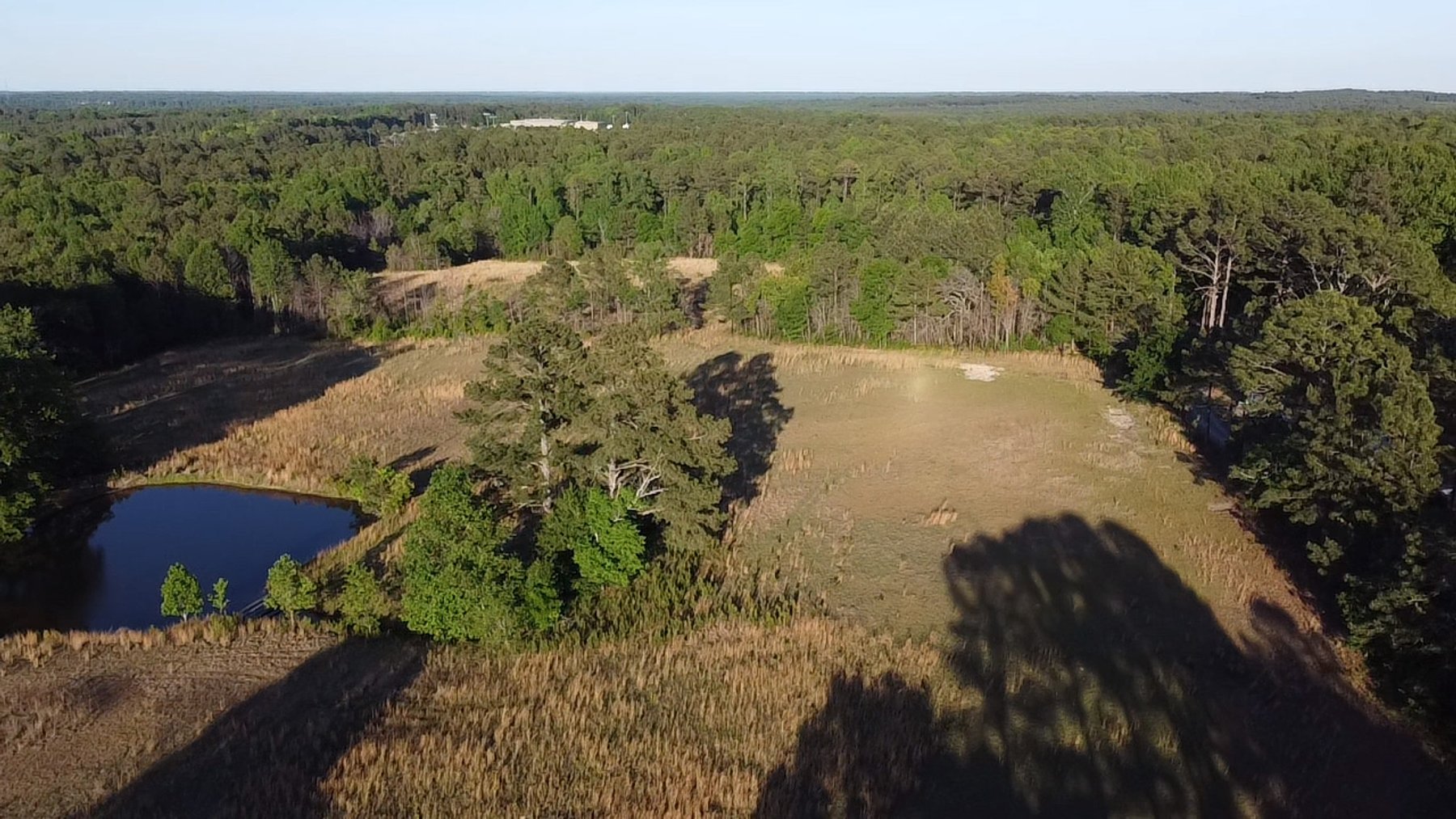 Image for 44.64 acres in Harnett County divided into 8 tracts!