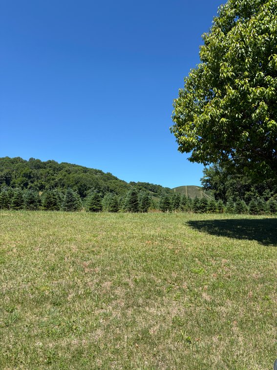 Image for Simulcast Mountain Ranch with a Basement Auction in Sparta for The Karen Lee Williams Estate (Deceased)