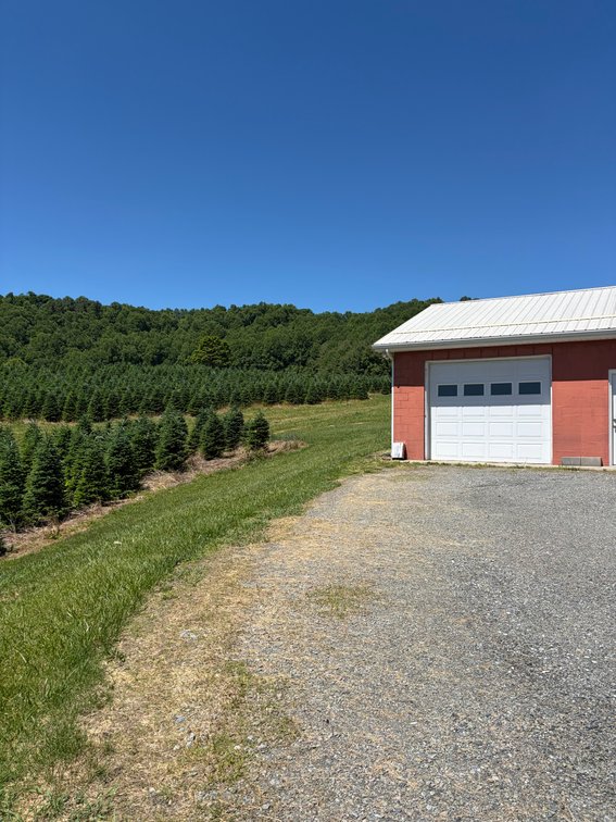 Image for Simulcast Mountain Ranch with a Basement Auction in Sparta for The Karen Lee Williams Estate (Deceased)