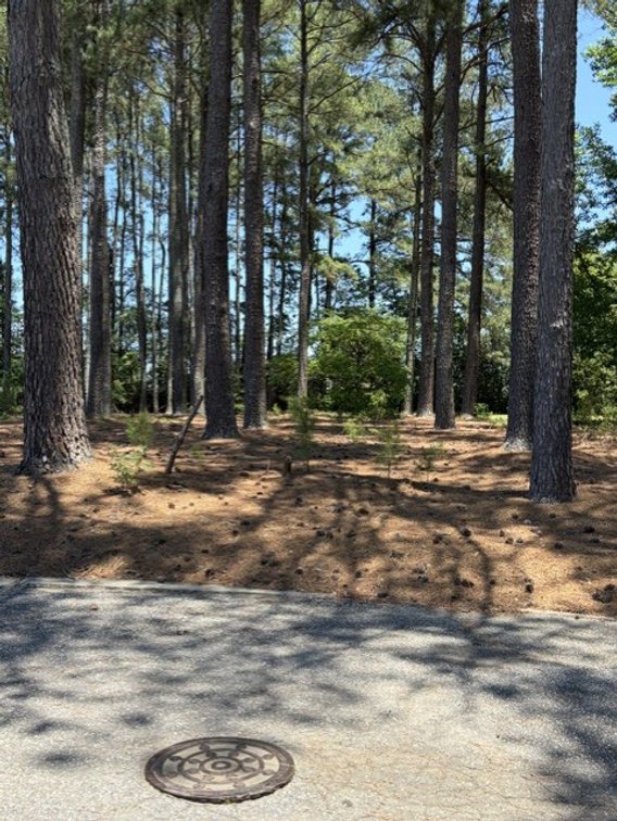 Image for 0.63 Acre Lot in Dunn!