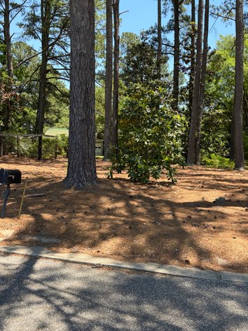 Image for 0.42 Acre Lot in Dunn!