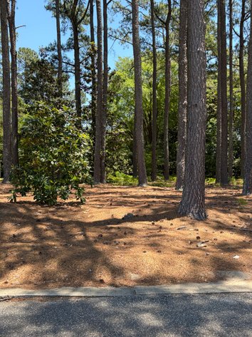 Image for 0.42 Acre Lot & a 0.63 Acre Lot in Dunn!